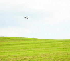 PHOTOS RÉGINE GAPANY