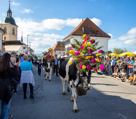 La 40e Désalpe de Semsales a connu un franc succès. RÉGINE GAPANY
