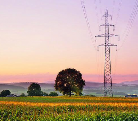 Photographe: Benoît Koller, Attalens, www.studioabstra.ch , Instagram: studio.abstra