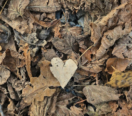 Ivana Dévaud,Châtel-St-Denis.