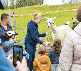 Sur place, on découvre quelque 160 chèvres, des vaches laitières, des veaux, des taureaux d’engrais, des poneys, des ânes, des lamas, des lapins, des cochons nains, des cochons d’Inde et des poules. CHLOÉ LAMBERT