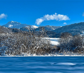 PHOTO DE SAISON. Cédric Pasche, Châtel-St-Denis.