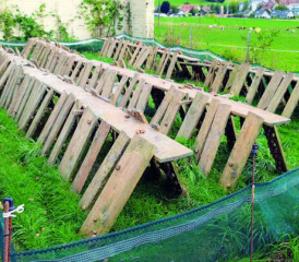 De mai à octobre, près de 20 000 escargots grandissent dans cet enclos. Entre 10000 et 15000 seront propres à la consommation. PHOTOS LE MESSAGER