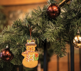 THOMAS DELLEY - PHOTO PRÉTEXTE