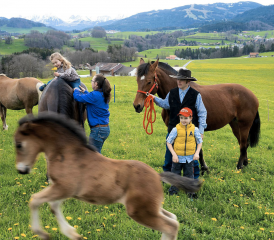 La famille Eberhard possède trois juments – deux franches-montagnes et une haflinger – ainsi qu’un poulain. CHARLY RAPPO