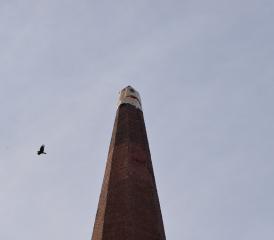 Le clocher de l’église de St-Martin panse ses plaies. Il s’est vu retirer sa flèche et sa partie supérieure après avoir été frappé par la foudre dimanche soir. CM