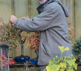 Nicolas Kissling s’intéresse autant aux bonsaïs qu’à la littérature. ALICE JASNY
