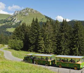 Les Paccots et Rathvel ont commandé une étude commune pour développer leur offre estivale.ATELIER MAMCO