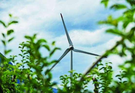 Dans leur question parlementaire, François Genoud et Luana Menoud-Baldi ont demandé si la diminution des paysages d’importance cantonale avait un lien avec les potentiels futurs parcs éoliens. ARCH - J.-B. MOREL