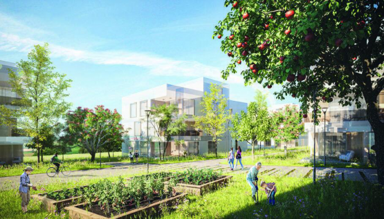 Voici comment la Municipalité oronaise imagine le futur écoquartier. INFOGRAPHIE 3D – HALTER AG
