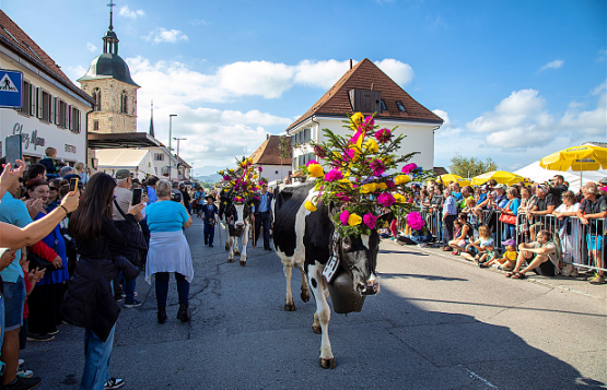 La 40e Désalpe de Semsales a connu un franc succès. RÉGINE GAPANY