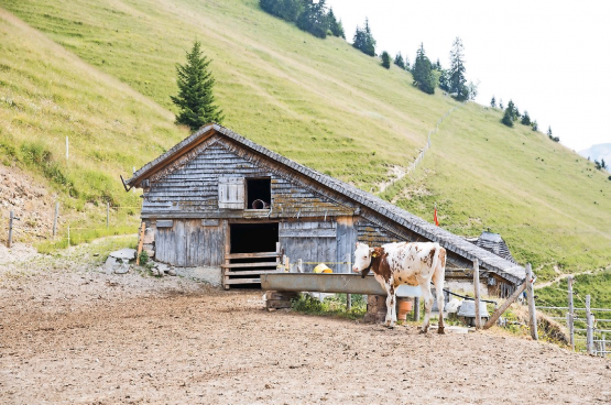 L’eau constitue un enjeu crucial dans les alpages fribourgeois. RÉGINE GAPANY - ARCHIVE
