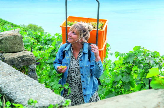 L’ancienne joueuse professionnelle de tennis Timea Bacsinszky est venue mardi à Châtel-St-Denis découvrir les étiquettes de sa cuvée de vin réalisée en collaboration avec Jean-René Gaillard. DR