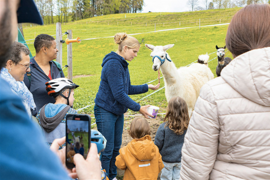 Sur place, on découvre quelque 160 chèvres, des vaches laitières, des veaux, des taureaux d’engrais, des poneys, des ânes, des lamas, des lapins, des cochons nains, des cochons d’Inde et des poules. CHLOÉ LAMBERT
