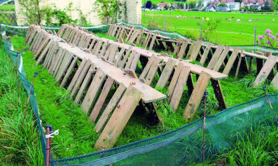 De mai à octobre, près de 20 000 escargots grandissent dans cet enclos. Entre 10000 et 15000 seront propres à la consommation. PHOTOS LE MESSAGER