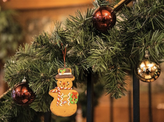 THOMAS DELLEY - PHOTO PRÉTEXTE