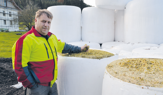Daniel Bourguet voulait, grâce au sorgho (à g.), disposer de garanties quant à son stock de fourrage et trouver une alternative au maïs (à dr.). CM