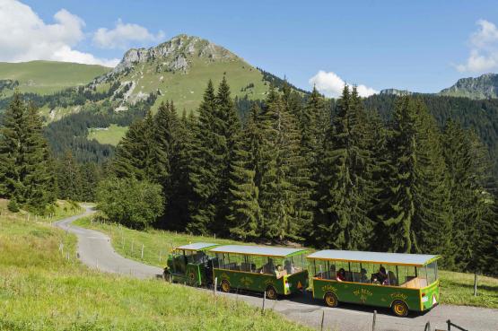 Les Paccots et Rathvel ont commandé une étude commune pour développer leur offre estivale.ATELIER MAMCO